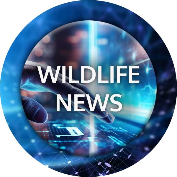 107FM radio interview with FR:UK Founder Tracy Alexander discussing Wildlife Crime